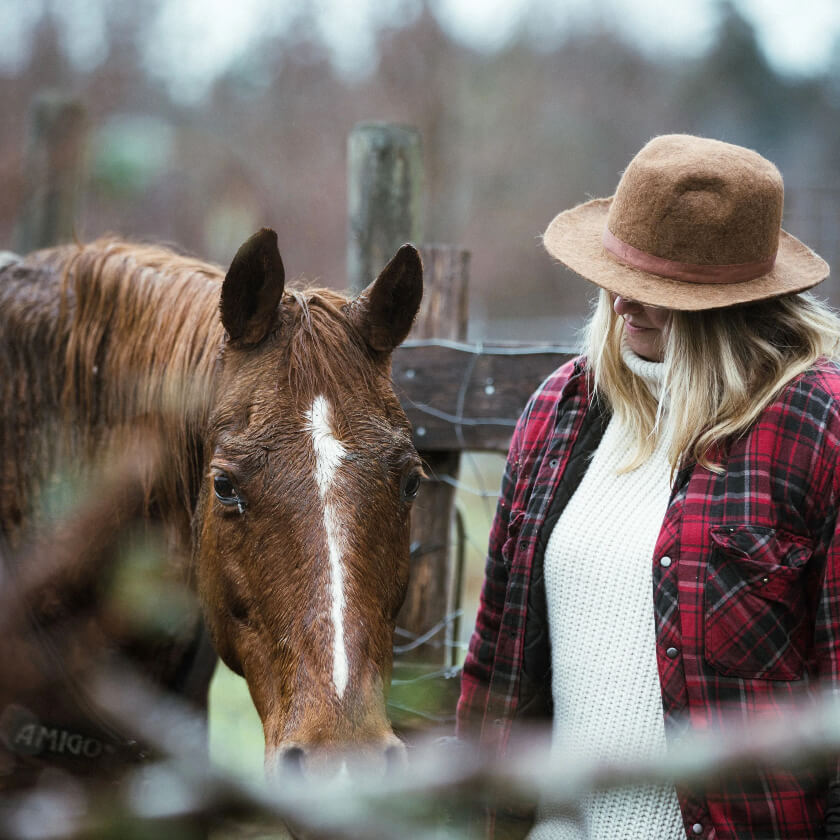Collection de soins équins pour les chevaux