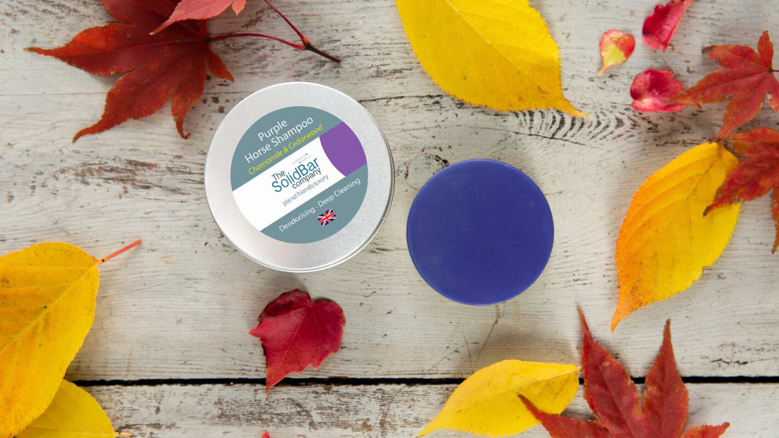 savon solide pour chevaux violet 