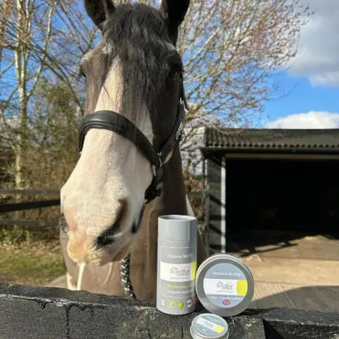 Cheval_avec_trois_produits_No_fly_différents